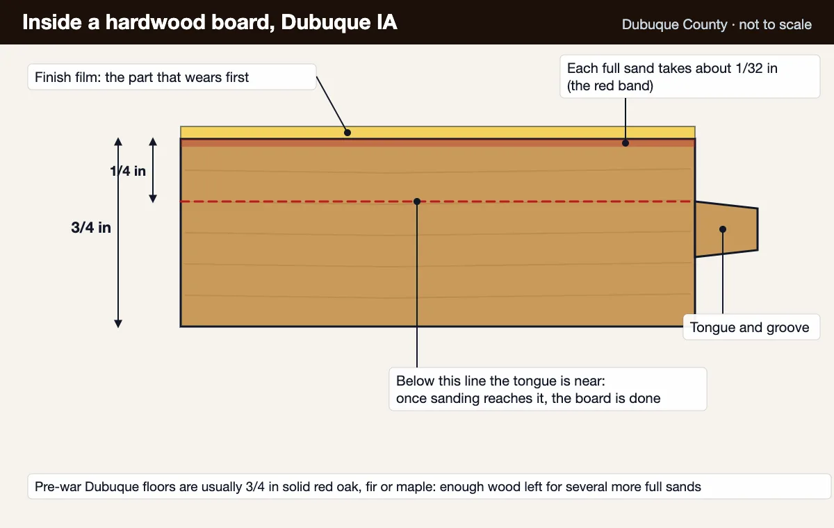 Hardwood floor refinishing Dubuque diagram: a 3/4 inch solid board with its finish film, the 1/32 inch a full sand removes and the tongue below
